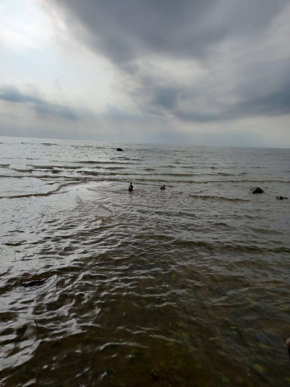 Фото в бортжурнале Renault Sandero 2G