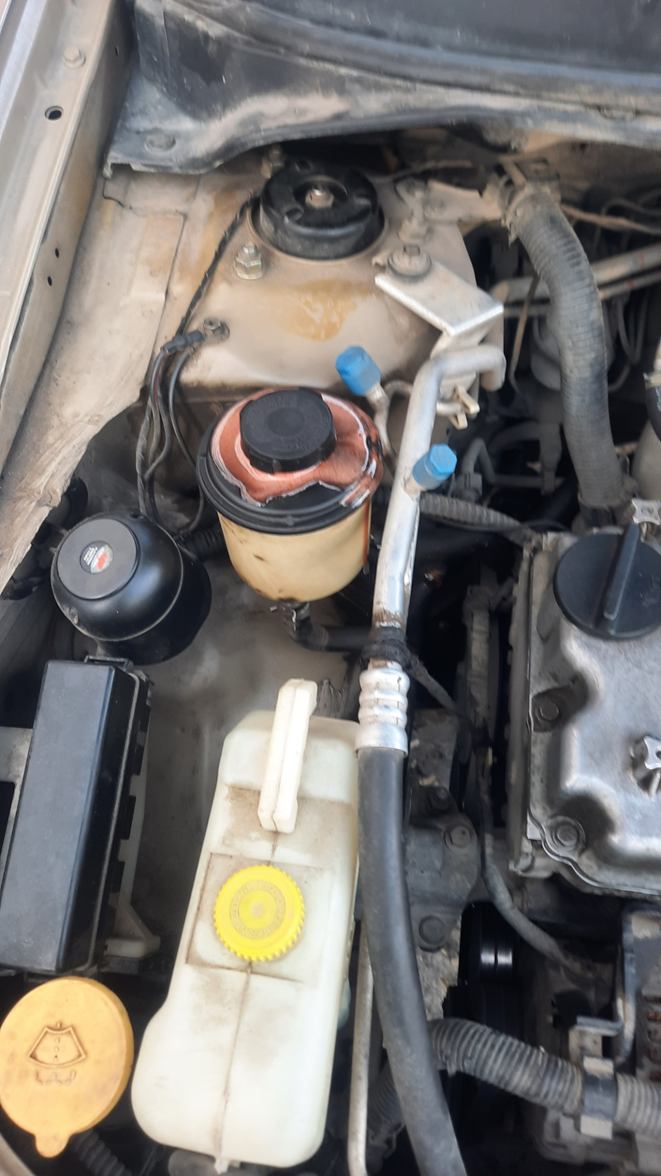 Даванула жидкость с бачка гура на холодную — Nissan Primera (P12), 1,8 ...