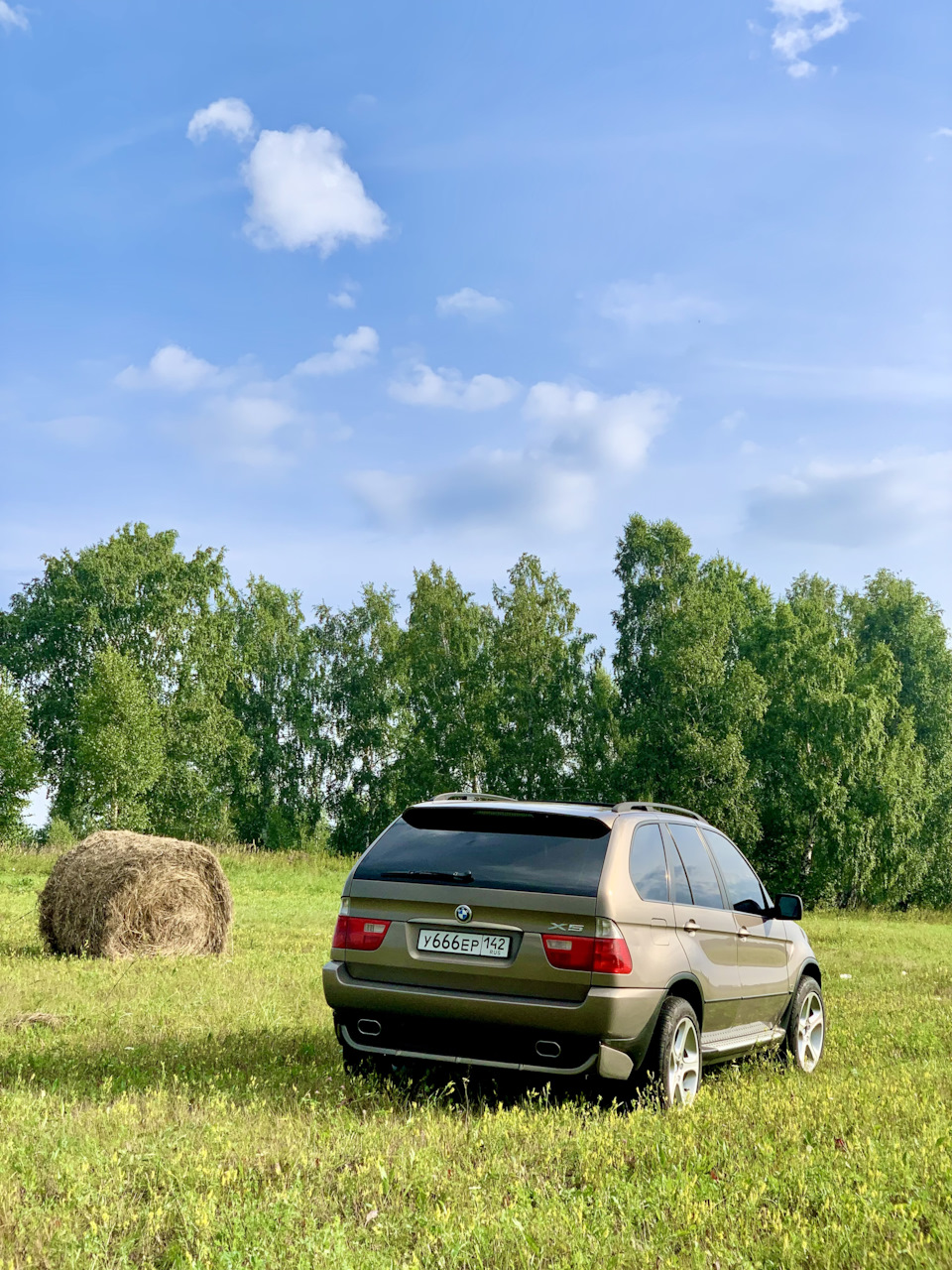 Фото в бортжурнале BMW X5 (E53)