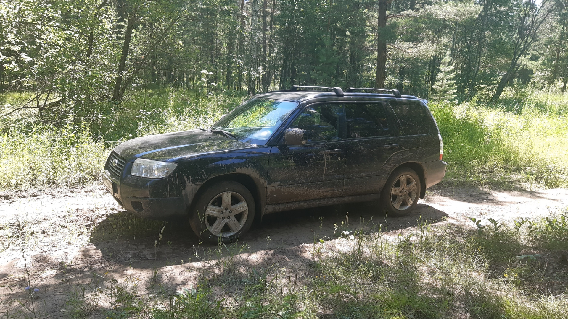 Лесник в лесу или поездка за грибами — Subaru Forester (SG), 2 л, 2007 года  | фотография | DRIVE2