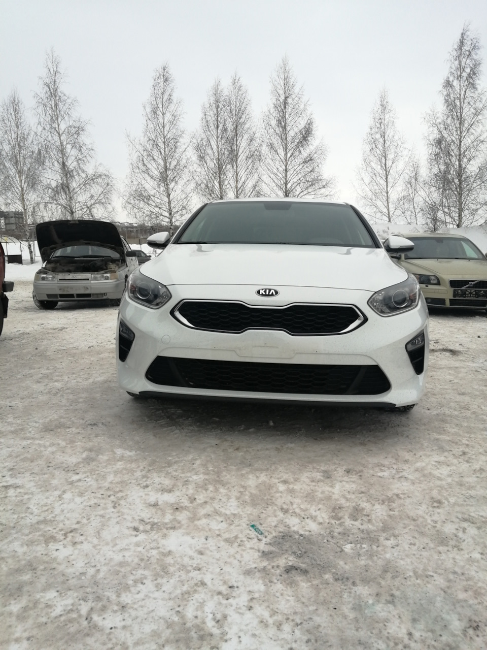 03.Наконец-то поставил машину на учет😁 — KIA Ceed (3G), 1,6 л, 2019 года |  другое | DRIVE2