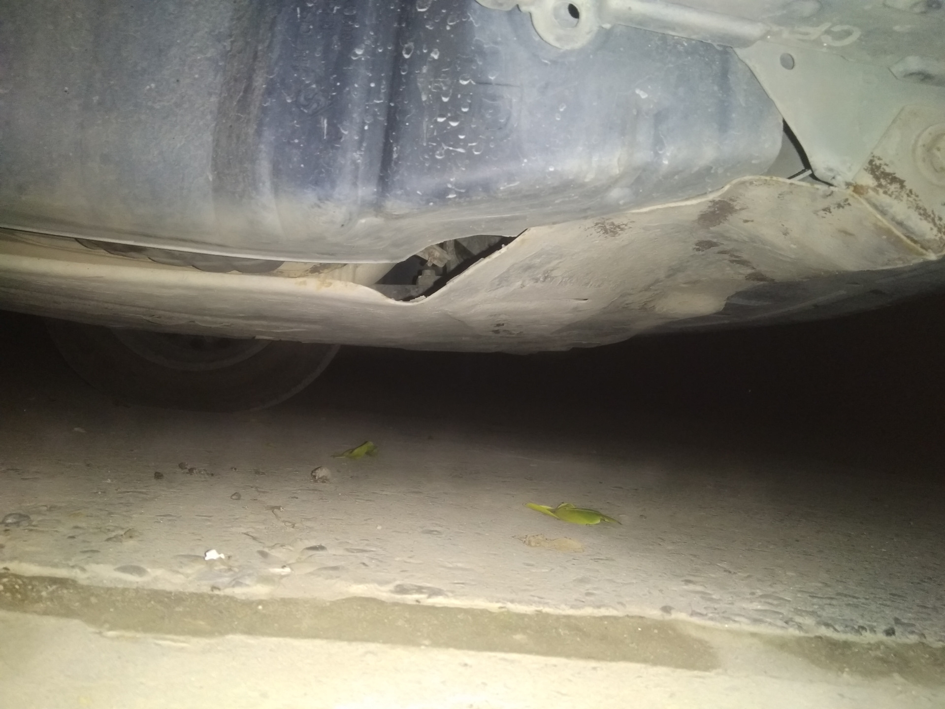 без защита 186