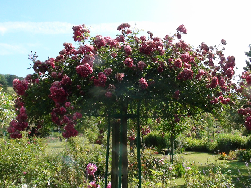 Лопнул стакан ниссан альмера классик - 81 фото