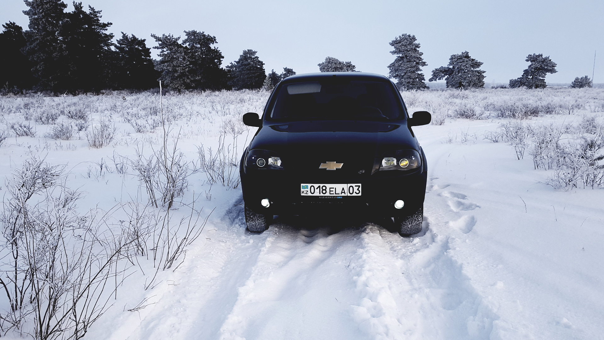 Chevrolet Niva 1.7 бензиновый 2009 | Black Edition на DRIVE2