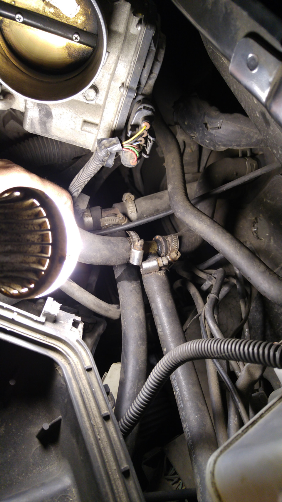 Пропадает антифриз…Toyota Avalon ГБО — DRIVE2