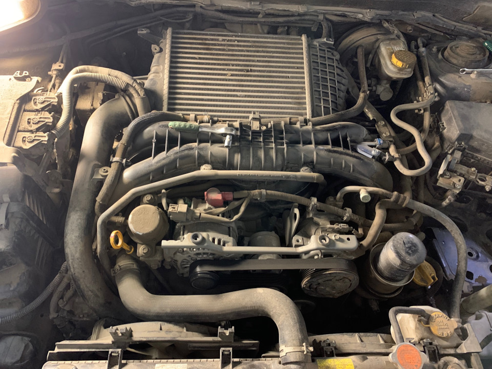 срачельник, да. я не фанат мытья подкапотки. — Subaru Forester (SJ)