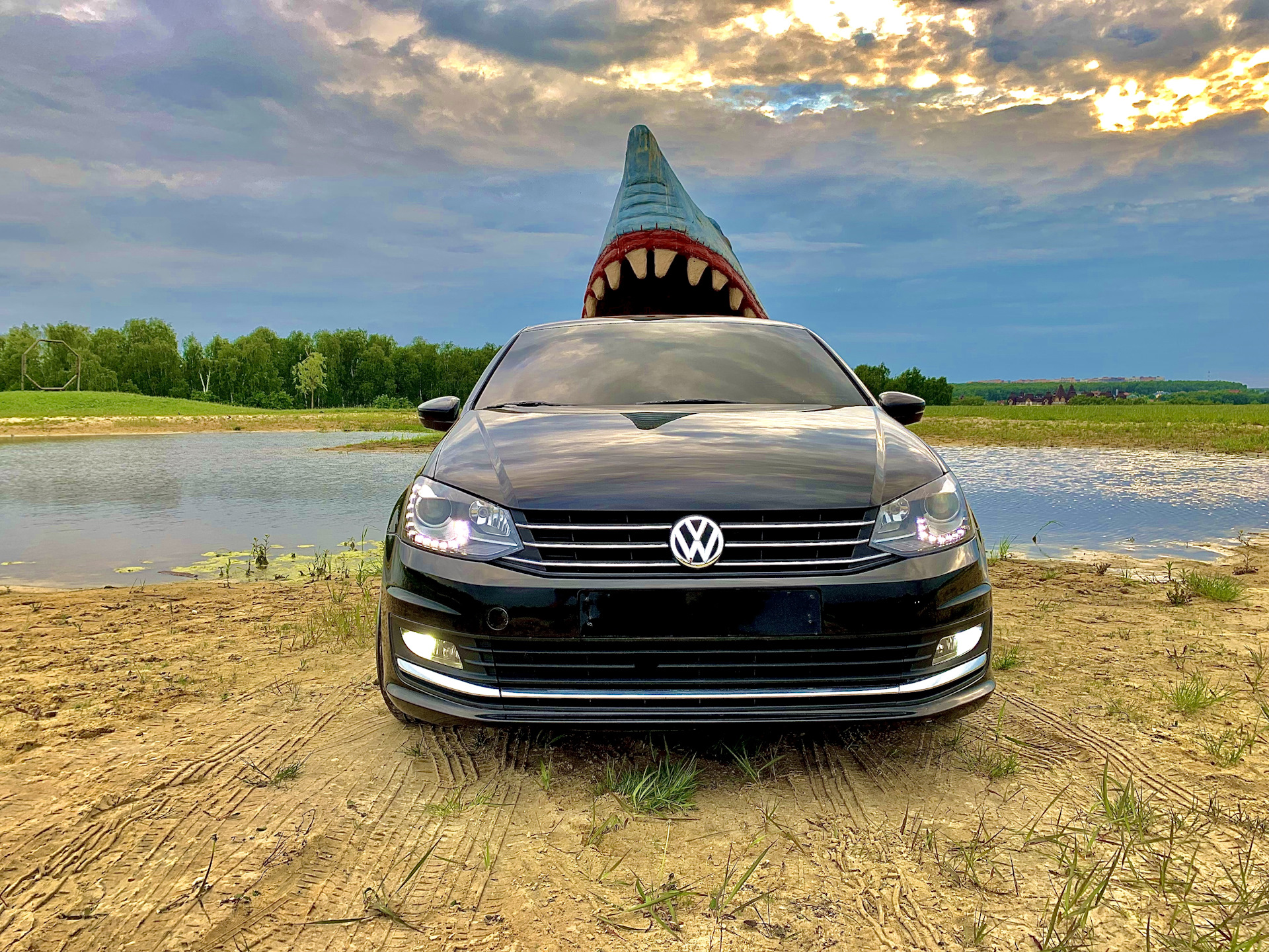 50 crazy. Volkswagen Polo sedan 1.6. Фольксваген акула. Акула на Фольксваген поло. Тонировка лобоового Вольц.