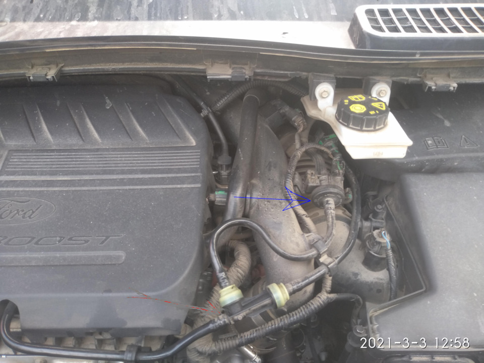 Непонятный стрекот под капотом — Ford Kuga (2G), 1,5 л, 2017 года ...