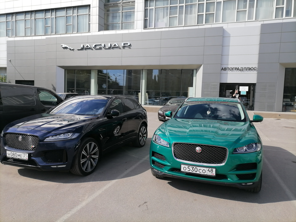 Дилер.Воронеж.Замена масла. — Jaguar F-Pace, 2 л, 2017 года | плановое ...
