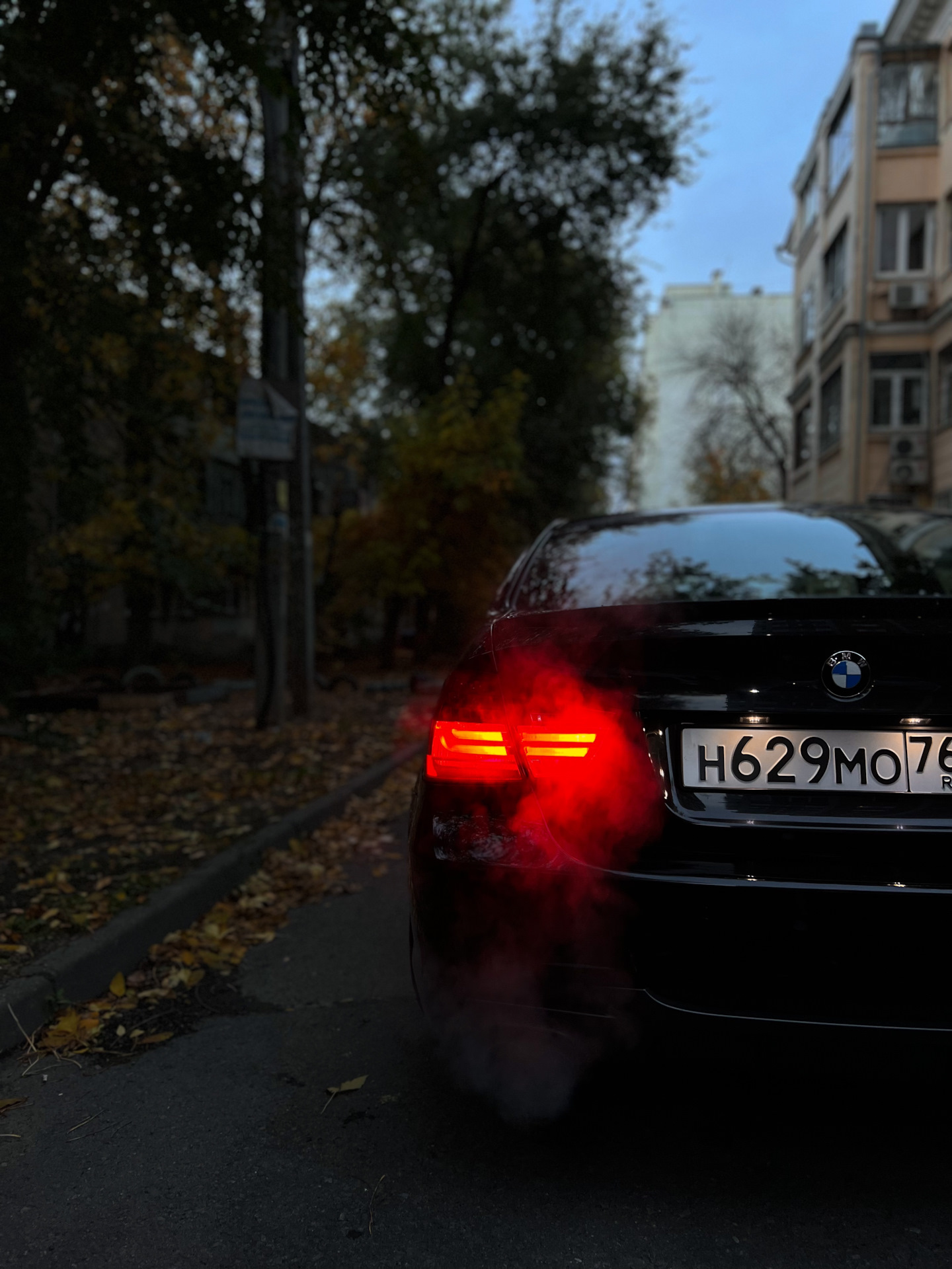 BMW В листьях