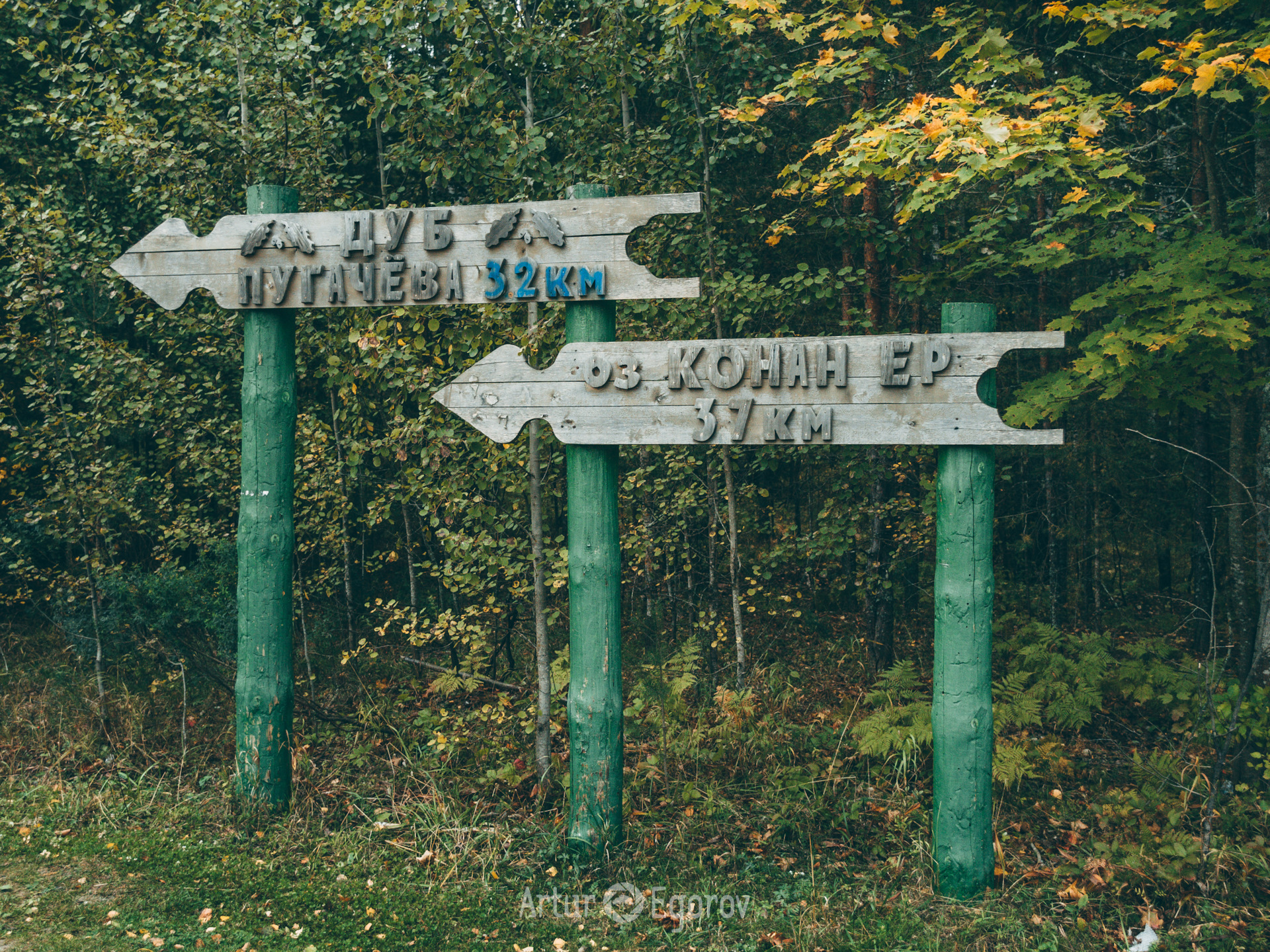 Марий Чодра национальный парк эмблема