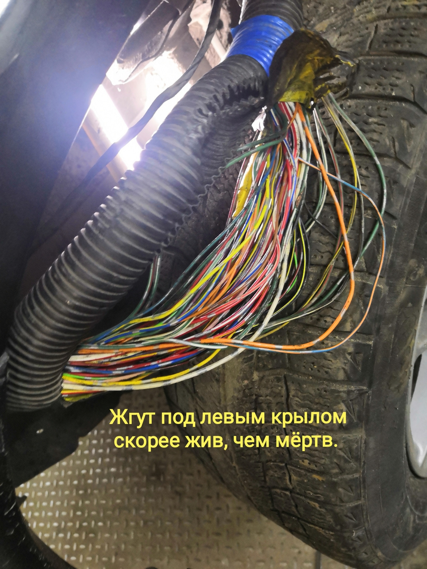 жгуты проводки nissan almera n16