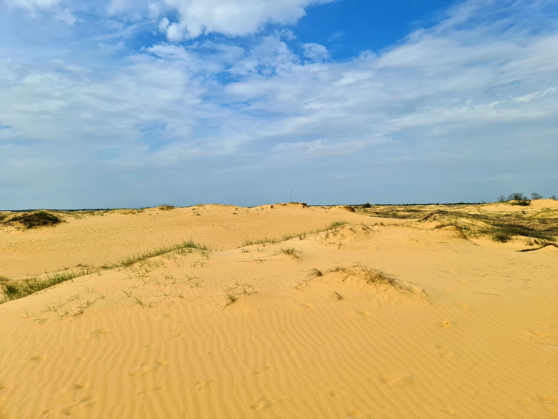 національний природний парк «олешківські піски». песчаный массив алешковские пески. самая большая пустыня в европе. олешковские пески национальный парк. олешковские пески украина.