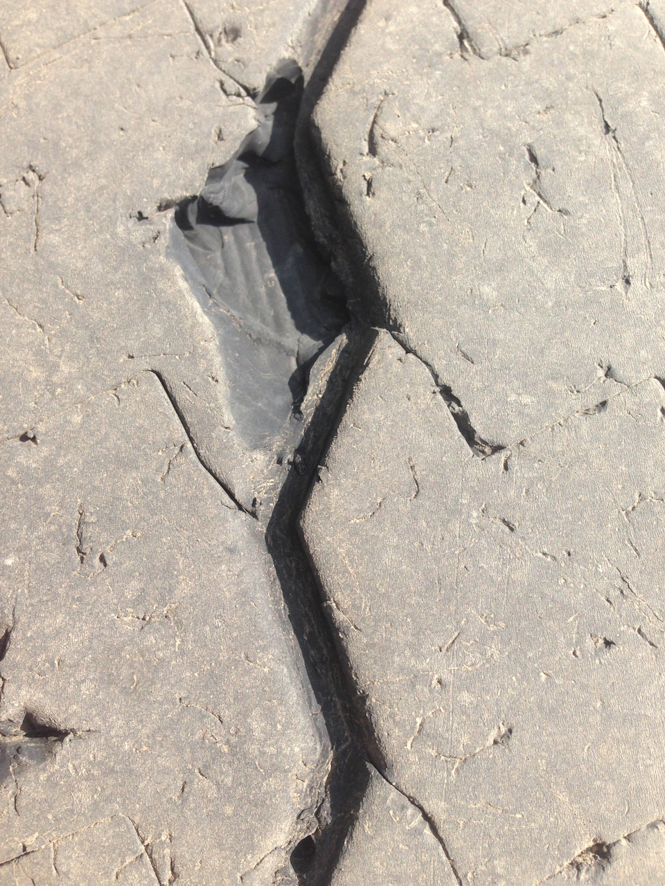 3 — КАМАЗ Золотарь