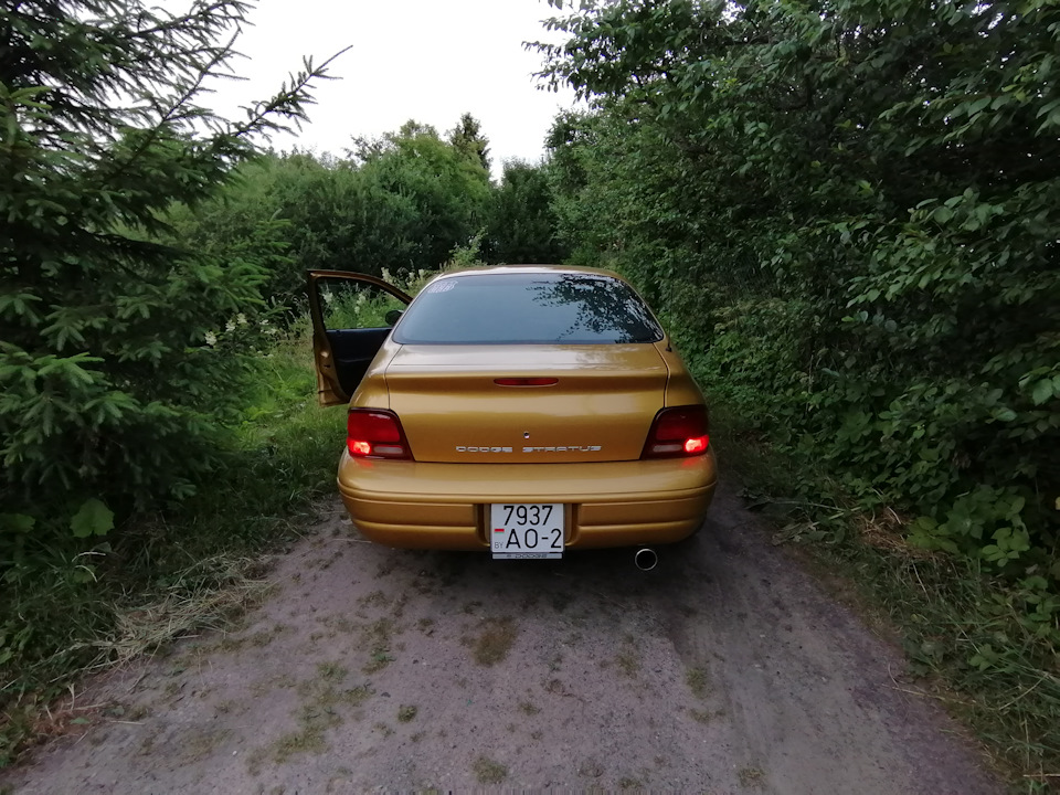 Тонировка задних фонарей лаком — Dodge Stratus (1G), 2,4 л, 1999 года ...
