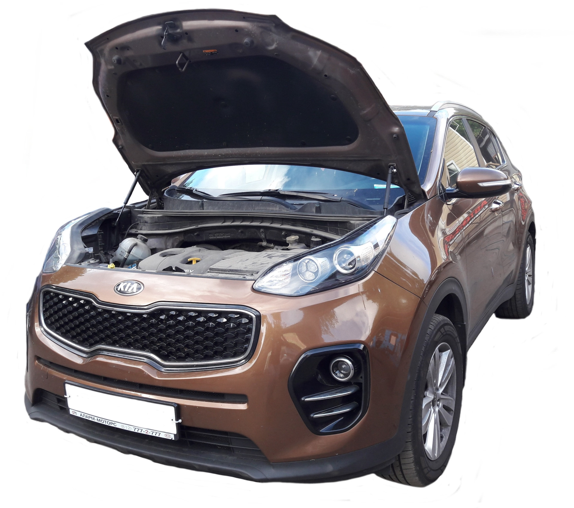 Купить Амортизаторы Капота На Киа