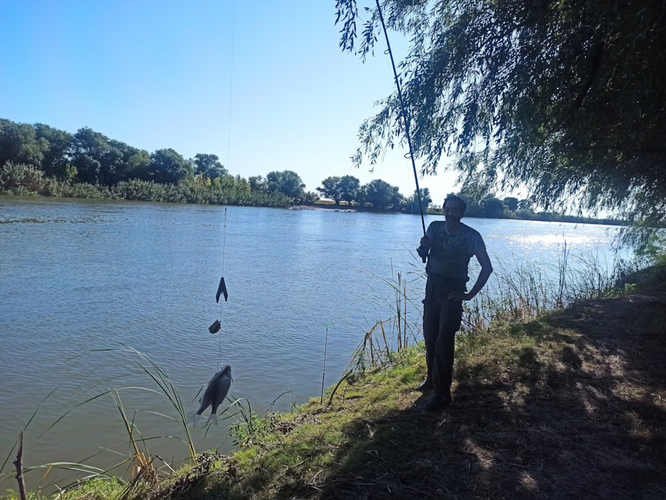 Фото в бортжурнале Mitsubishi Pajero (4G)