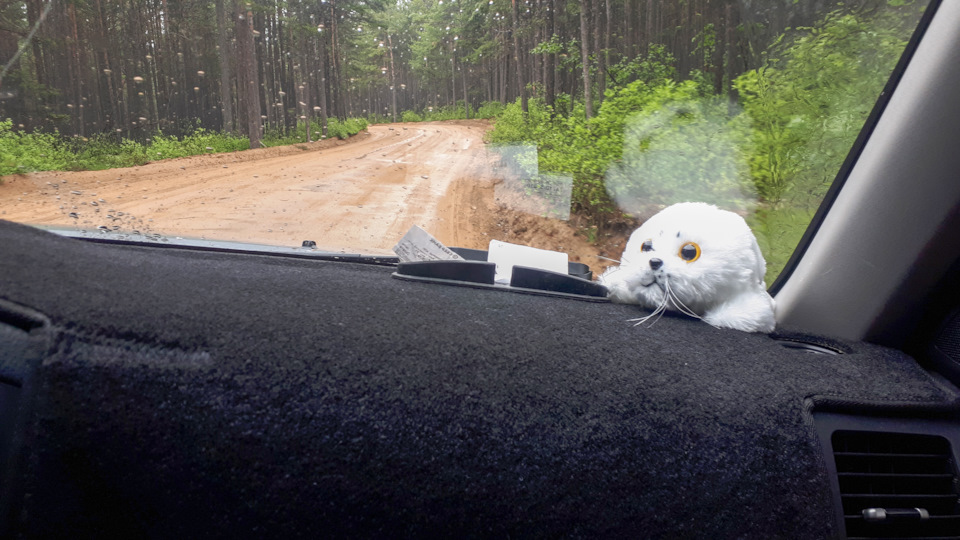 Фото в бортжурнале Mitsubishi Pajero (4G)