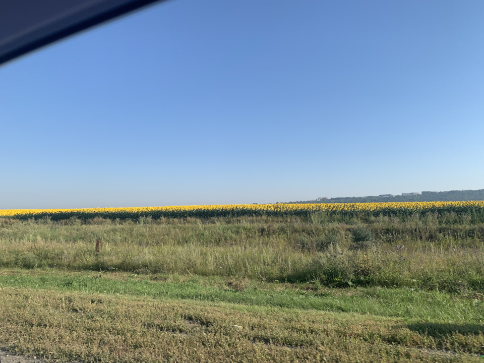 Казань /зоопарк — DRIVE2