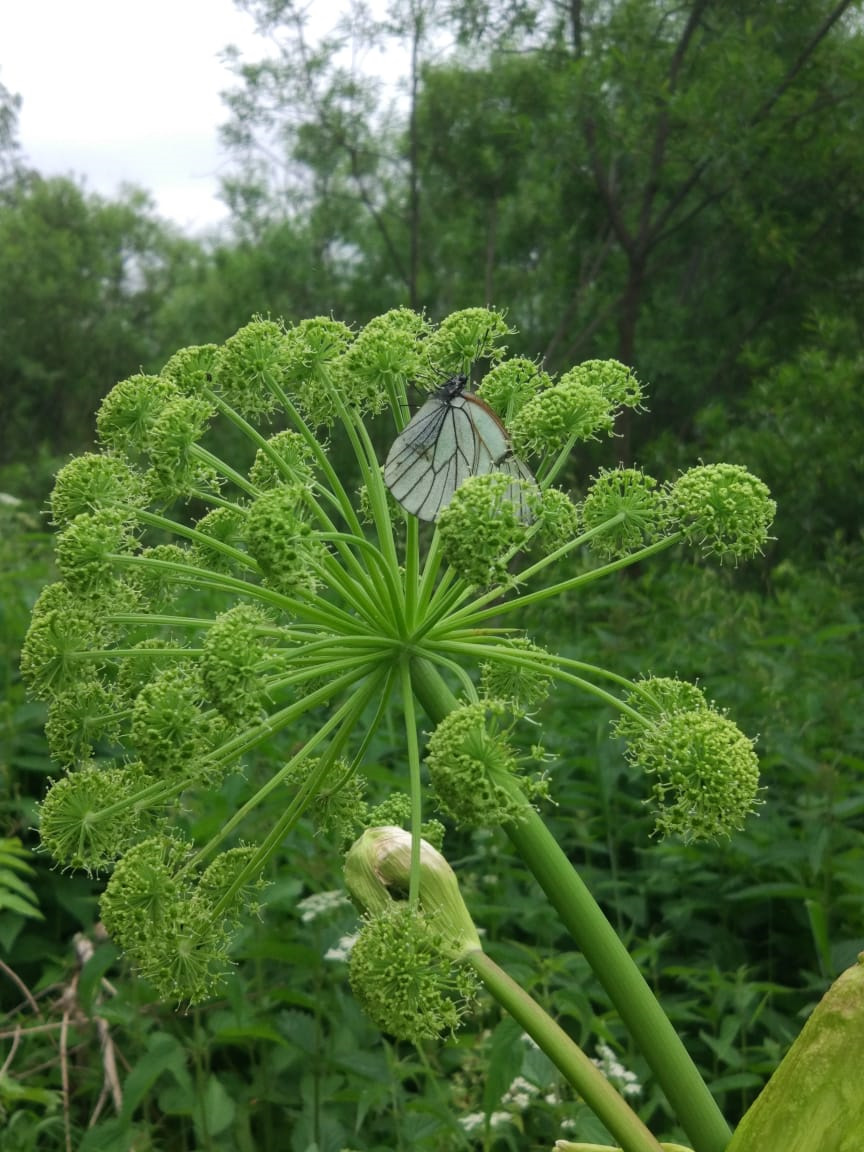 Фото в бортжурнале Suzuki Escudo (1G)