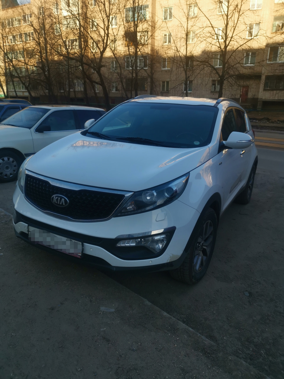 Покупка — KIA Sportage (3G), 2 л, 2014 года | покупка машины | DRIVE2