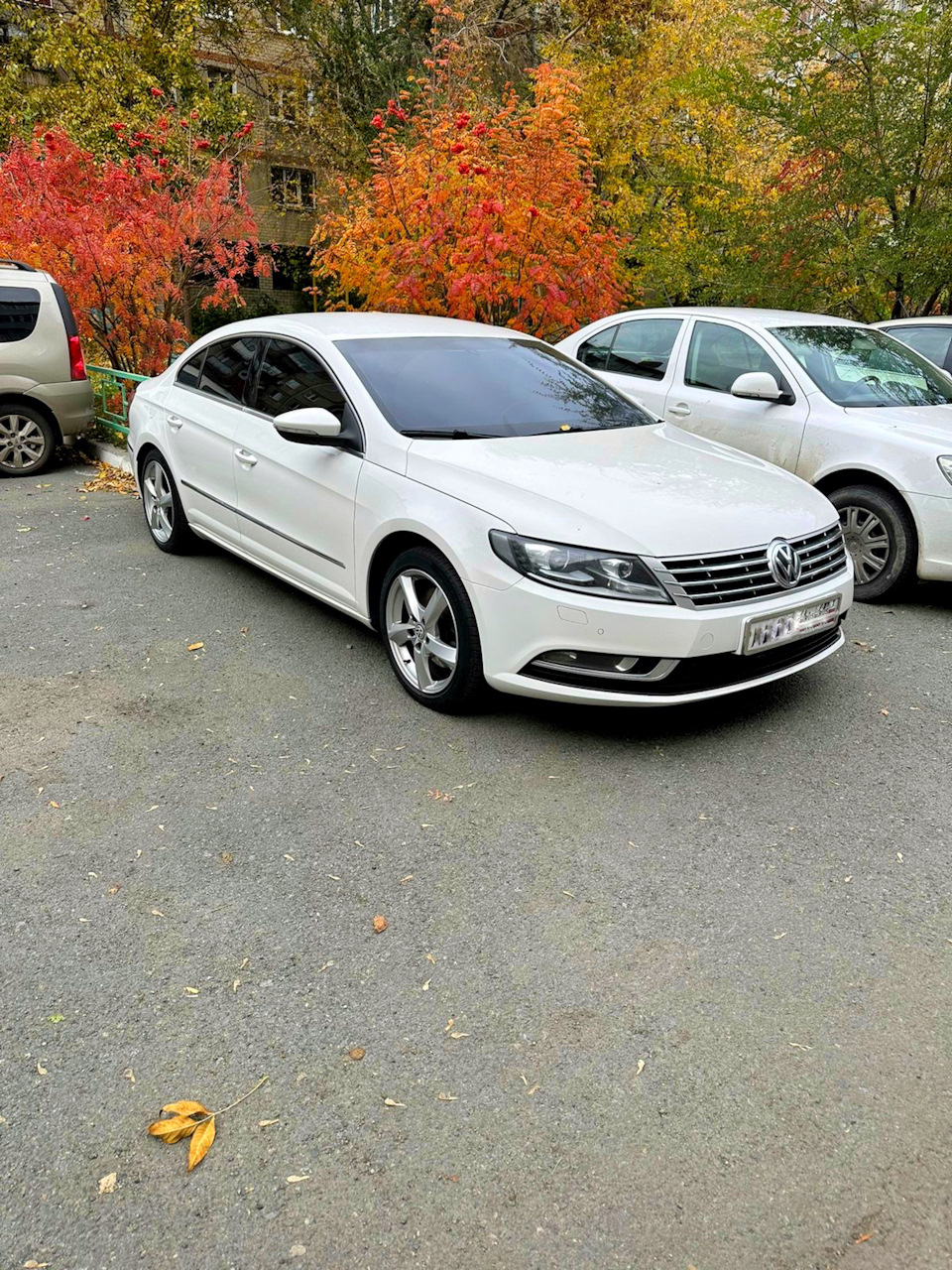 Первый пост и история покупки☺️ — Volkswagen Passat CC, 1,8 л, 2012 года |  покупка машины | DRIVE2