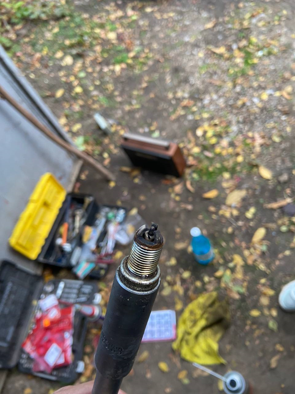 Вот старая свеча (NGK). Когда меняли вопрос — Volkswagen Golf Plus