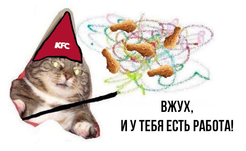 Картинка вжух с котом