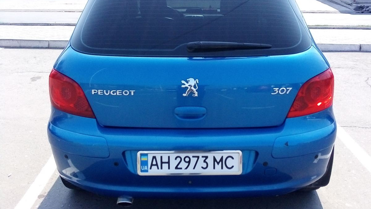 Peugeot 307 2.0 бензиновый 2006 | Simba на DRIVE2