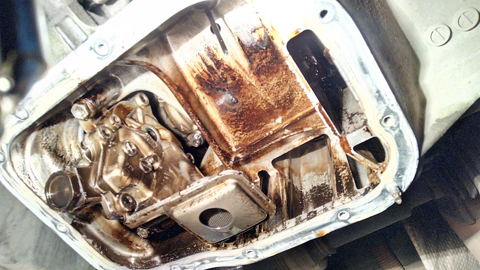 Фото в бортжурнале Toyota Prius (30)
