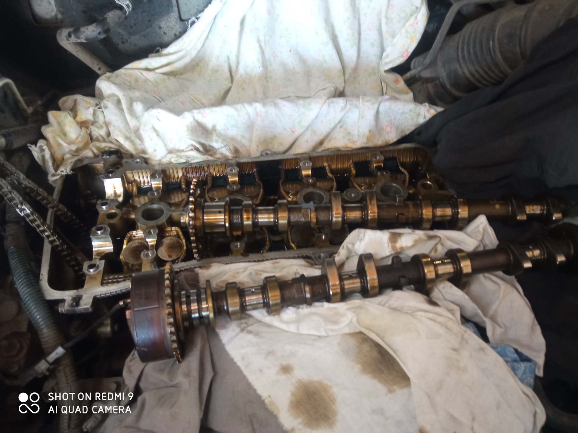 Перевозка фанеры, замена маслосъемных колпачков 2AZ-FE и прикольная ...