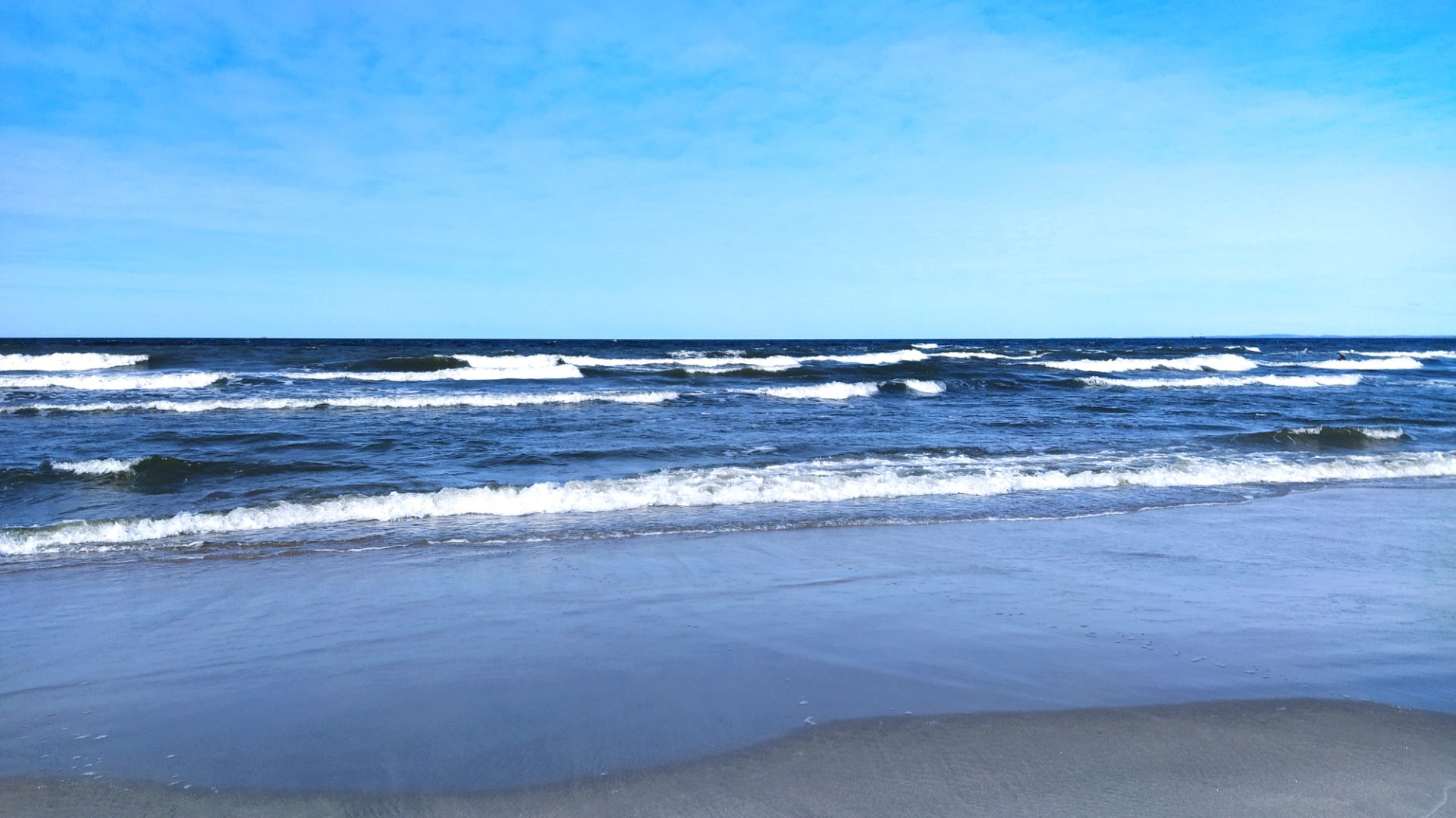 Температура воды в балтийском море зеленоградск. Балтийское море Зеленоградск. Зеленоградск Чайки променад Балтийское море. Балтийское море Янтарный. Зеленоградск пляж.