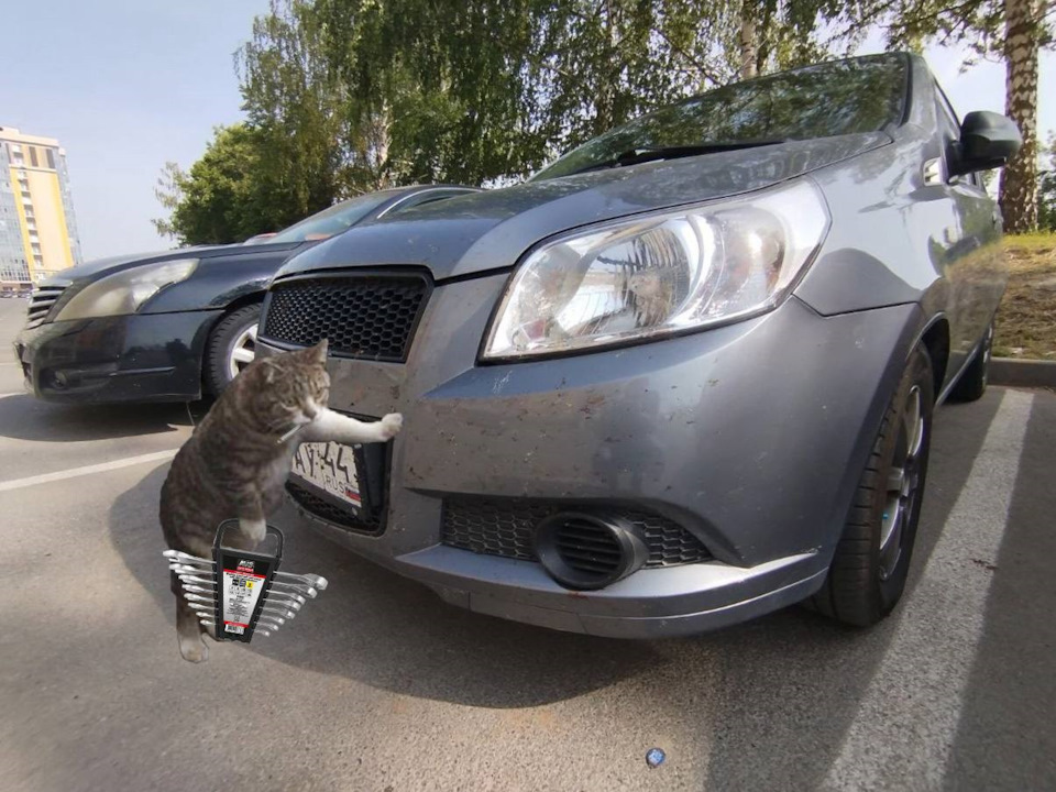 Фото в бортжурнале Chevrolet Aveo 5-door (1G)