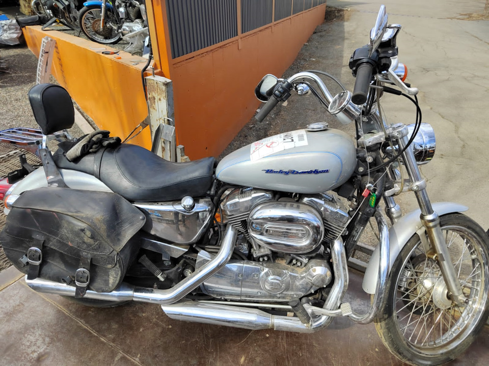 Sportster xl1200c best sale