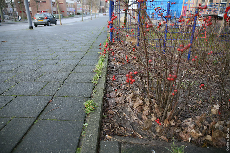 Фото в бортжурнале KIA Rio 5-door (3G)