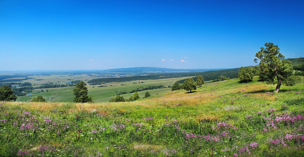 Луга Башкортостана