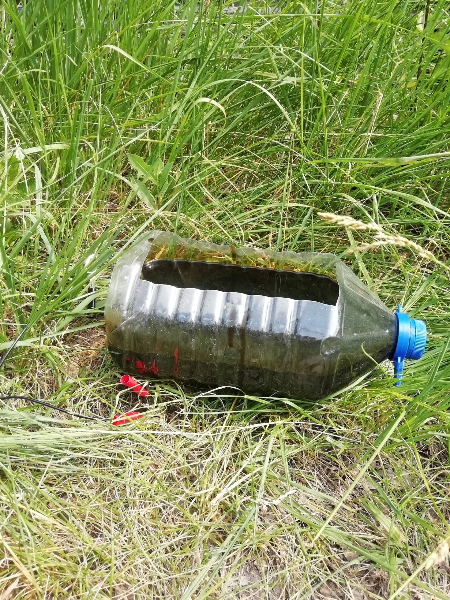 Замена масла через щуп. — Hyundai Elantra (4G), 1,6 л, 2008 года ...