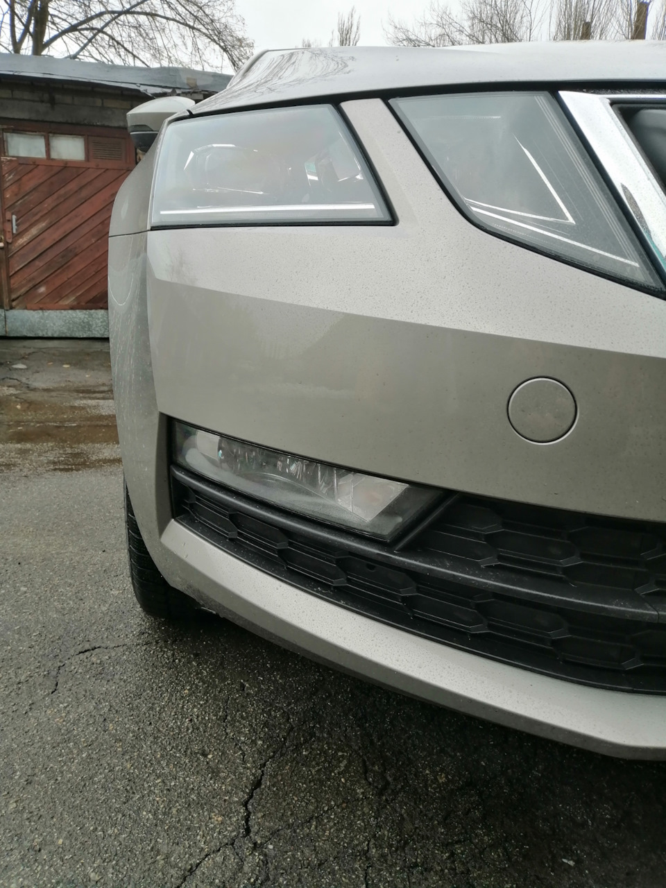 Запотевание противотуманкок — Skoda Octavia Mk3, 1,4 л, 2018 года ...