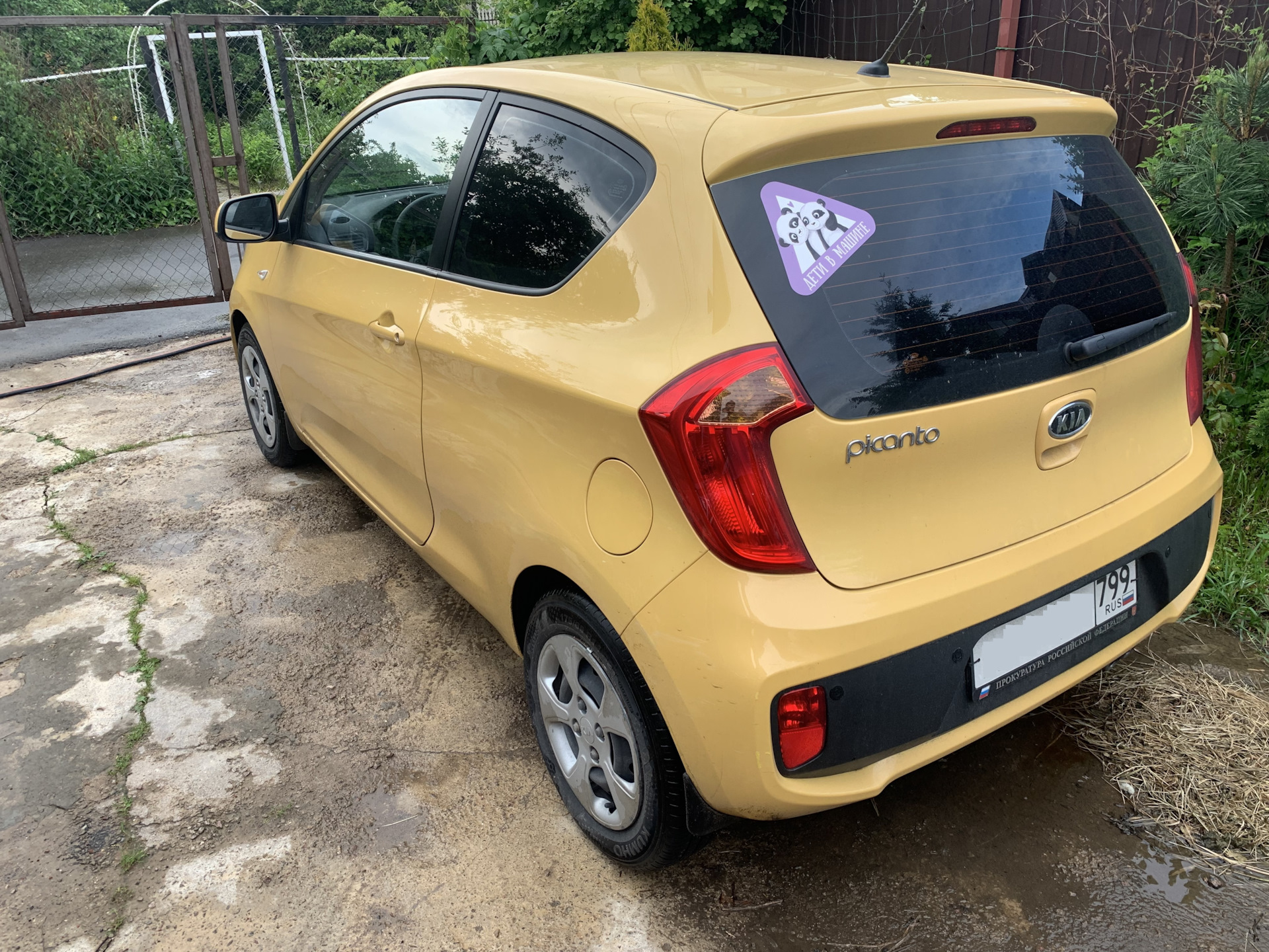 kia picanto не заводится