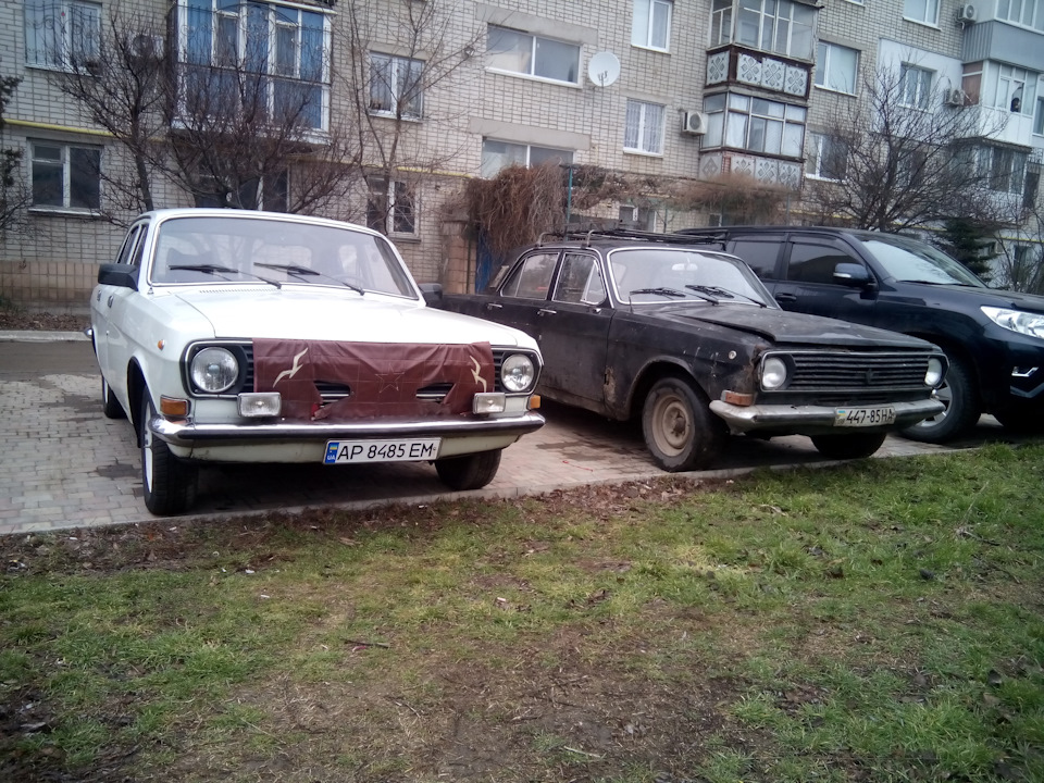 #46. Просто фото. Релакс. — ГАЗ 2410, 2,4 л, 1989 года | фотография ...