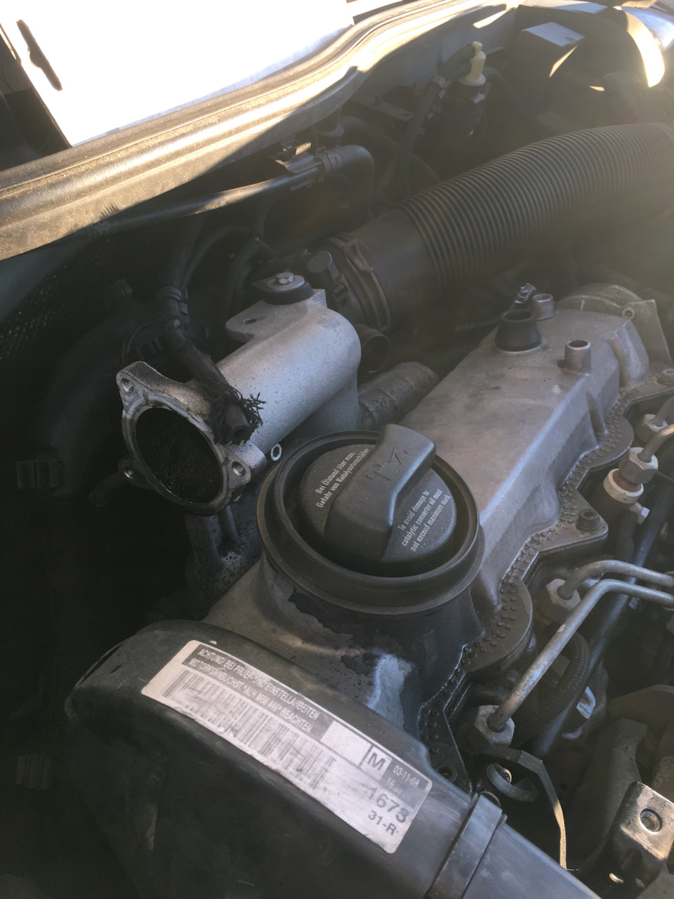 Прокладка клапанной крышки 1.9 ALH — Skoda Octavia A4 Mk1, 1,9 л, 2008 ...