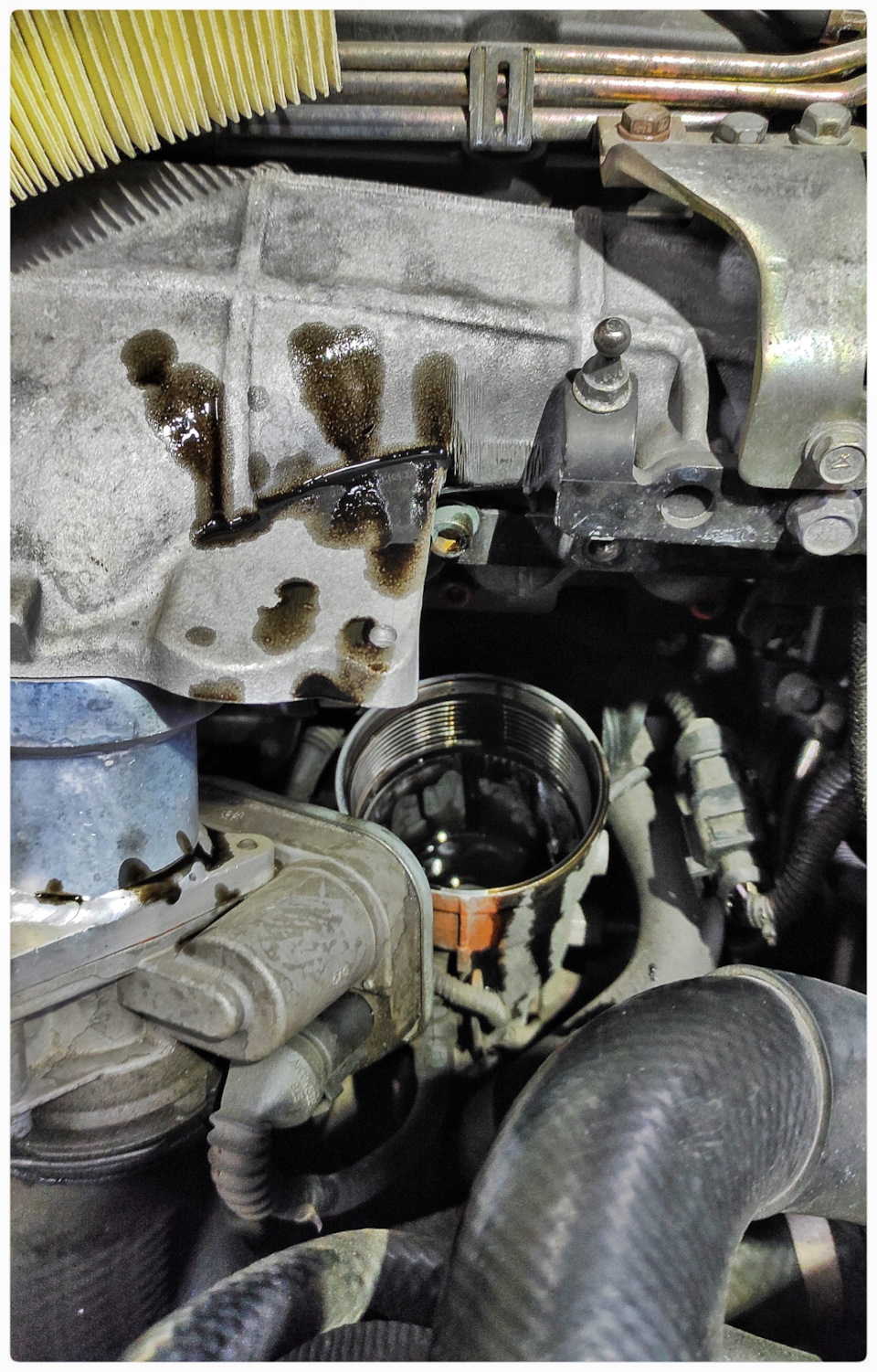 Фото в бортжурнале Mitsubishi Grandis