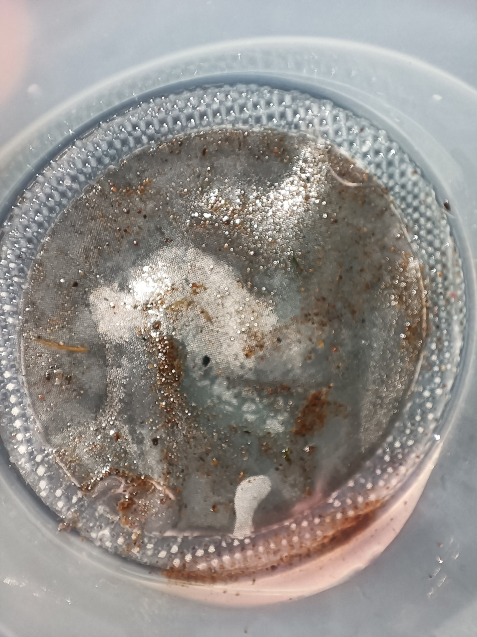 А вот и процедил… — Jaguar X-Type