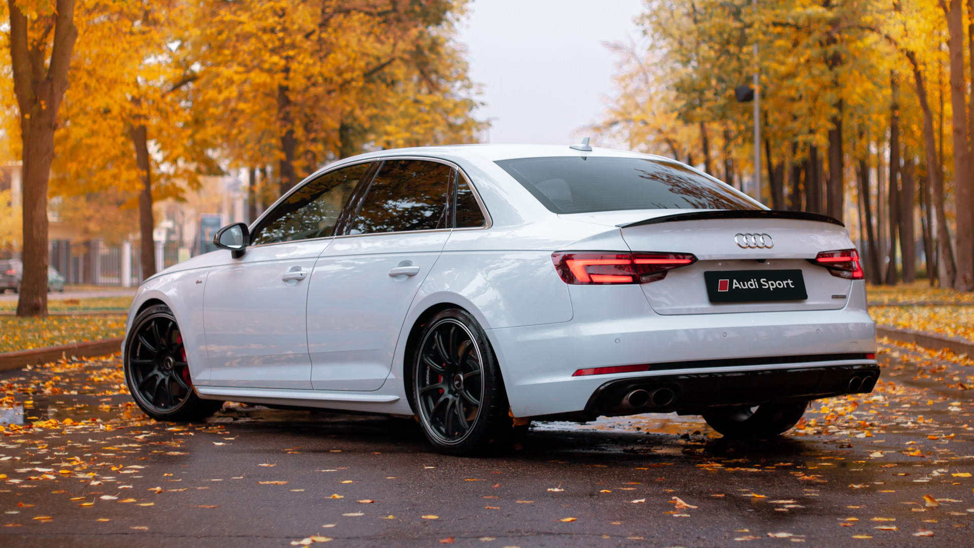 Audi A4 (B9) 2.0 бензиновый 2018 | [GecKo] на DRIVE2