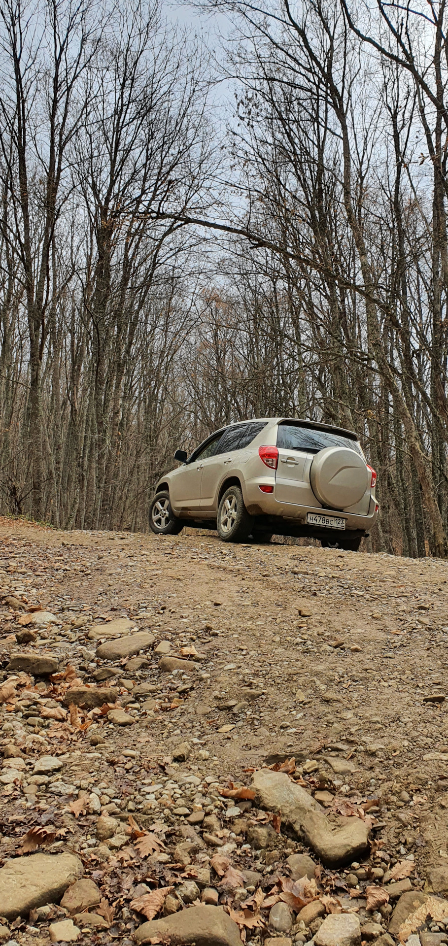 Офф-роад на Собер-Баше, ступица и рейка. — Toyota RAV4 (III), 2 л, 2006  года | путешествие | DRIVE2