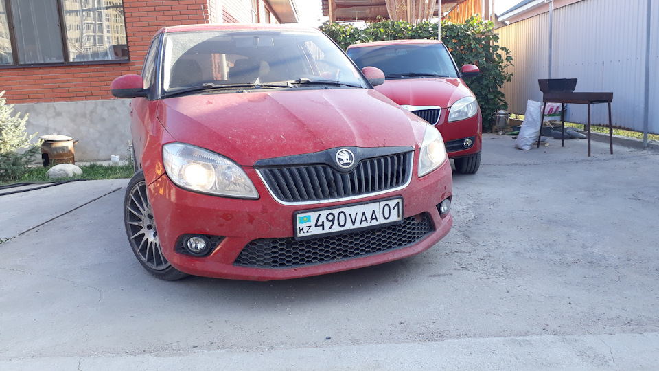 Skoda Fabia Combi Красноухая черепаха