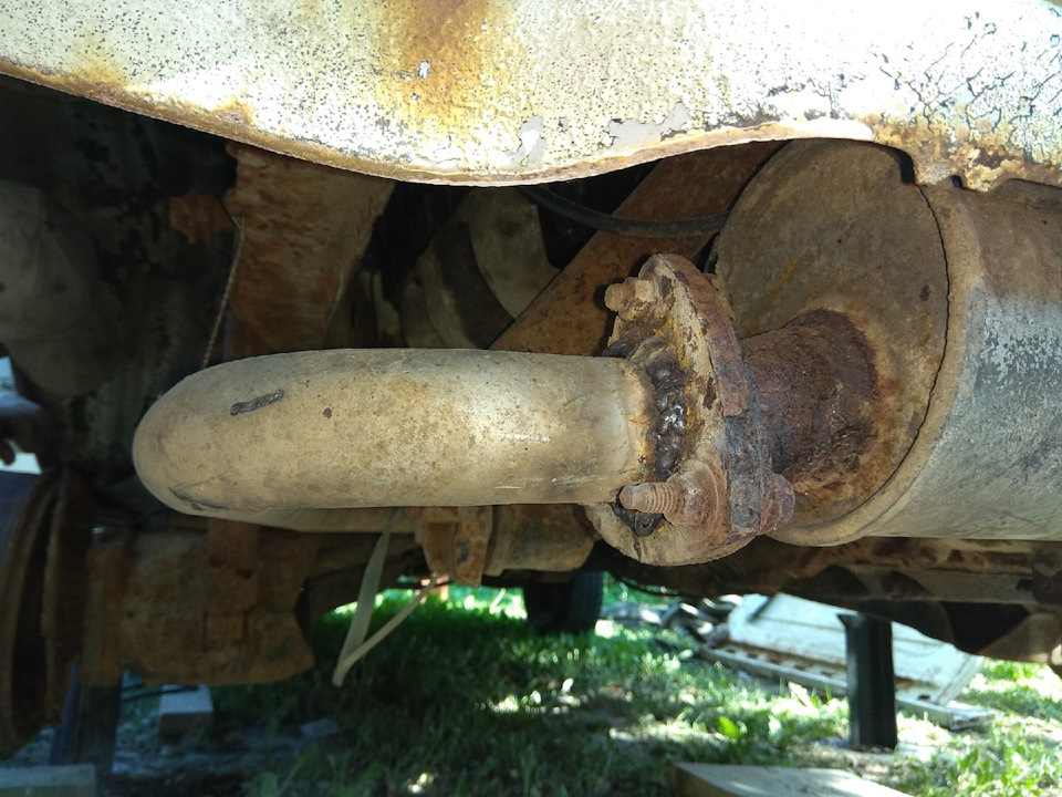 Ёжик уже неделю провёл в Бресте — Volkswagen Transporter T3, 1,9 л ...