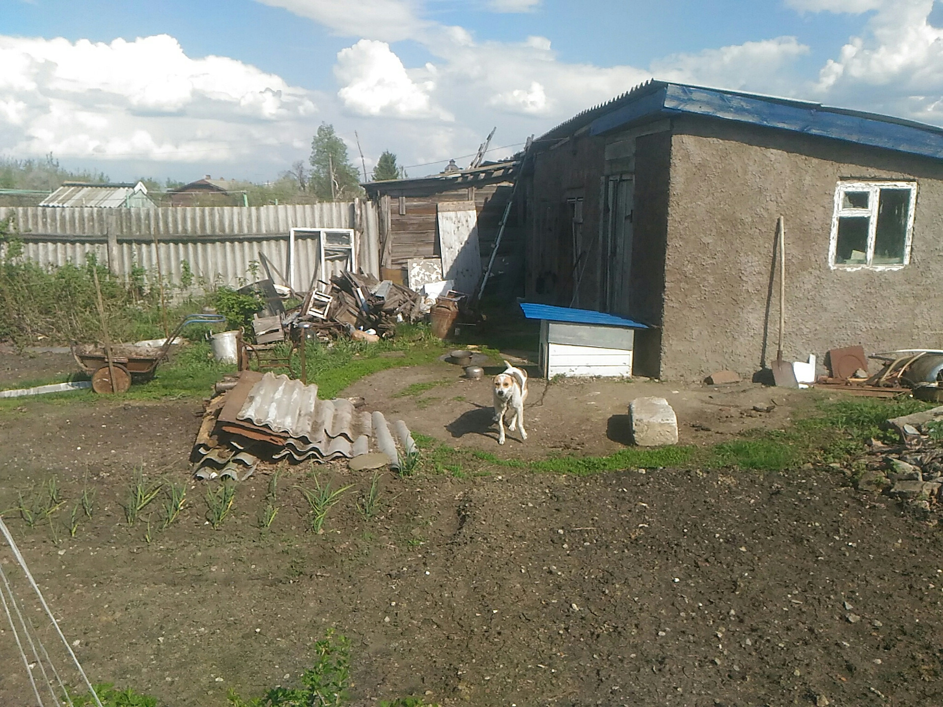 Погода в базарно карабулакском районе саратовской. Свободный Базарно-Карабулакский район. Базарно-Карабулакский район Саратовской области. П Свободный Базарно Карабулакского района Саратовской области. Базарный Карабулак поселок Свободный.