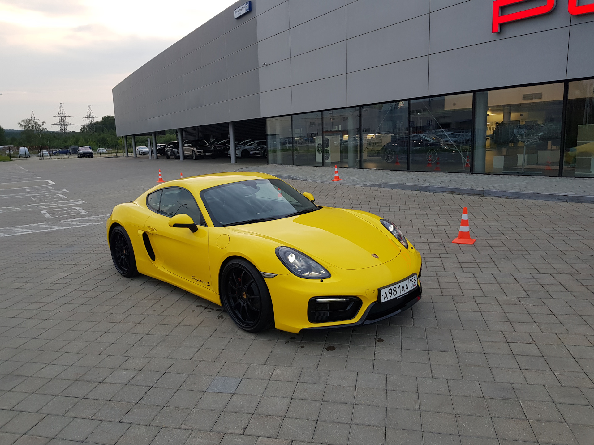 Cayman gt4 981