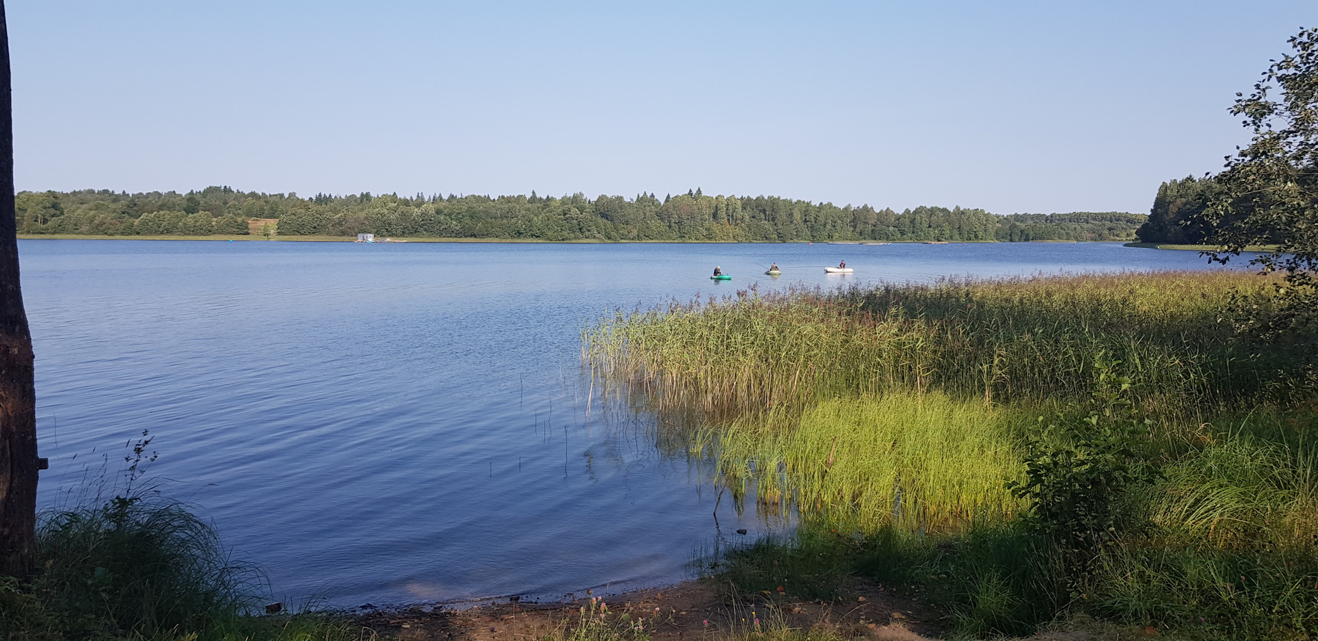 Озеро Хвошня Тверская область